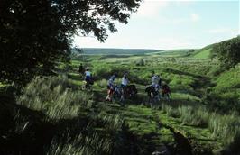 The track from the warden's farm to the hostel