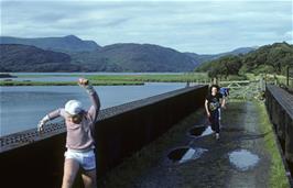 Barmouth Bridge