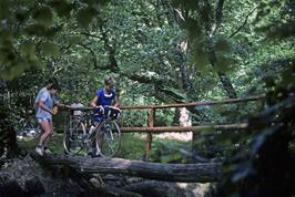 Philip Humphreys crosses the bridge - with caution!