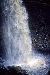 Hardraw Force