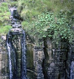 Buttertubs