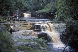 Mark Williams at Kisdon Force