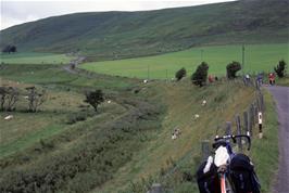 The narrow road climbing up the valley near Windyhaugh