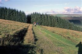 The moorland track from Dunnabridge to Bellever