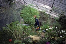 Richard Burge explores the Butterfly Farm