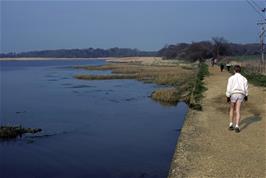 The Freshwater estuary from the old railway track