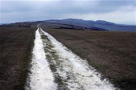 Eastwards on the Tennyson Trail