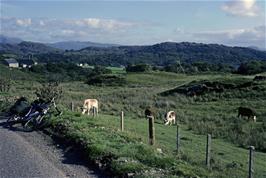 Scenery near Garramore