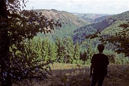 View of the wooded valley surrounding Fingle Bridge