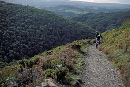 Luke Hatherly on the Hunters' Path