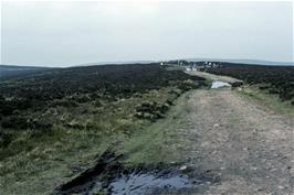 The track along the Quantocks from Crowcombe Park Gate