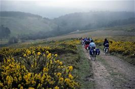 The track descent to Selworthy