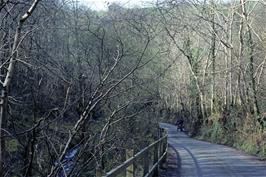 Mark Sloman on the lane to Hunters Inn