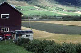 Looking across the island of Stensgårdøye on the river Otta, taken from Nørdre Odden, four miles before Bismo [New scan, 16/9/2019]