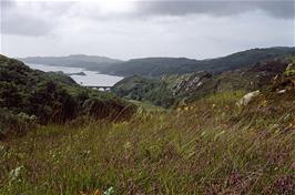 MIchael climbed a steep bank to get this view of the viaduct near Polnish, with Loch Nan Uamh beyond [New scan, July 2019]