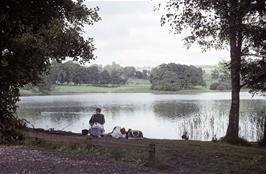 View across Esthwaite Water from the visitor centre, looking towards Near Sawry [Remastered scan, June 2019]
