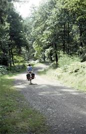 Neil on the track through Grizedale Forest Park, from Hawkshead Moor to the Visitor Centre [Remastered scan, June 2019]