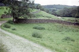 Approaching Satterthwaite on the Idyllic little lane from Grizedale visitor centre [Remastered scan, June 2019]