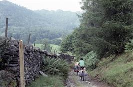 The track short-cut from Tarn Hows to Glen Mary Bridge [Remastered scan, June 2019]