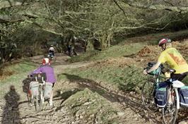 Dan Whittle follows cautiously down the final track to Holford YH [Remastered scan, June 2019]