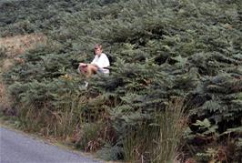 Lukas Wooller, taking a break in the bracken near Catlow Fell  [Remastered scan, June 2019]