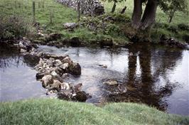 Ducks in the Malham Beck as it heads away from Malham Cove [Remastered scan, June 2019]