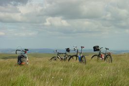 The grass near Petre's Cross was tall and thick