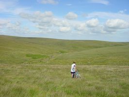 Heading down the hill towards the river Avon