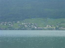 View across the Bielersee Lake from our lunch spot at Sutz-Lattringen, 21.3 miles into the ride