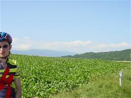Widespread agriculture at Rte d'Eclèpens, Lussery-Villars