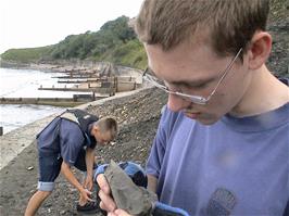 Olly checks out a possible fossil at Lyme Regis Beach