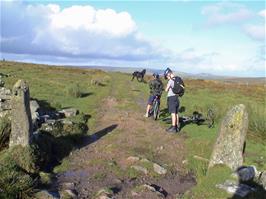 Joe and Harry on the bridleway between Dunnabridge and Bellever