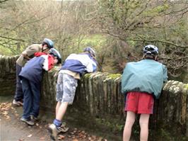 Sol, Keir, Louis and Joe at Bickham Bridge