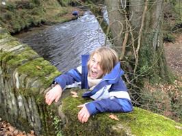 Louis in fake trouble at Bickham Bridge