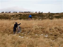 The Hunt, going about their business