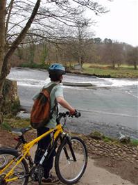 Sol at Totnes Weir