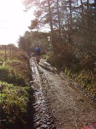 Joe and Oliver on the track to Buckland