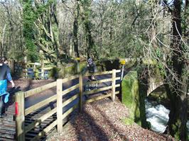 Joe on the bridge at Spitchwick
