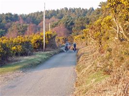 Exmoor lanes on the way to Exford
