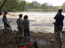 Totnes weir in full flood