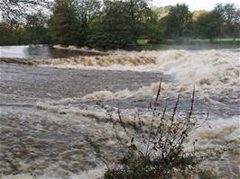 Totnes weir