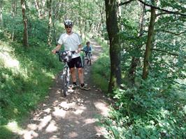 The long climb through the woods along the Hunter's Path from Fingle Bridge