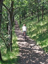 Riding the Hunters' Path