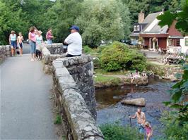 Fingle Bridge