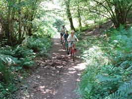 Returning along the woodland path through Cod Wood to Steps Bridge