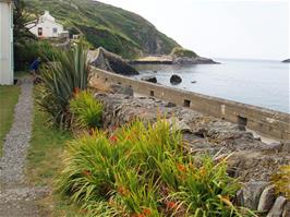 Clear Island Youth Hostel, right beside South Harbour