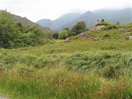 Fabulous scenery just beyond the River Gearhameen, about a mile before Black Valley YH