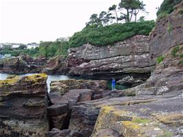 Kittiwake's Rock, Dunmore East