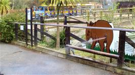 This Tapir squirts at everyone passing by
