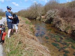 Delightful scenery - the River Fowey, alongside the Bolventor road